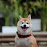 元気です^^