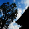 DSC01197