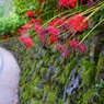 DSC01250