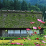 晩夏の合掌