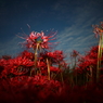 photo_2791872