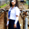 ayu_04