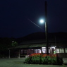 サルビアの咲く駅