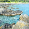 南国の海岸