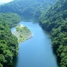 緑を流れる河川でカヌー