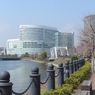 2013春の横浜
