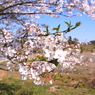 出張で小湊鉄道５