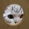 穴の向こうに…