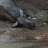 IMG_6729_p