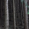 柱