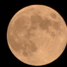 CSC_0020