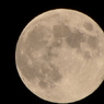 CSC_0021