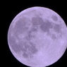 CSC_0022