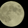 CSC_0023