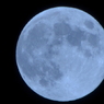 CSC_0024