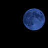CSC_0052