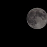 CSC_0053
