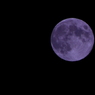 CSC_0054