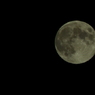 CSC_0056