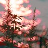 DSC05330_R