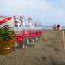 海・空・酒・串・砂浜・・・カップル