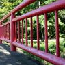 横浜大池自然公園にて10