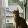 外への憧れ?