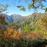 紅葉の柏原新道から望む鉢ノ木岳１