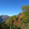 紅葉の柏原新道から望む鉢ノ木岳2