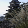松本城