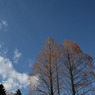 正月の空　その１