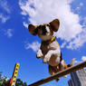 Jump