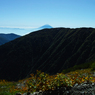 富士山を望む（小太郎尾根分岐辺りから）