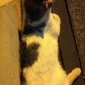 Photo 35