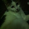 2012.5.9.白