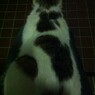 2012.6.3.白