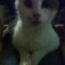 2012.6.5.白