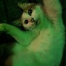 2012.6.16.白