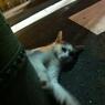 2012.8.11.白