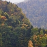 札幌 豊平峡 秋