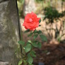 IMG_5858