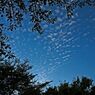 空に雲1