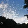 空に雲3