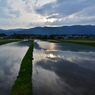 畦道