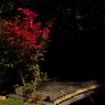 此岸と彼岸