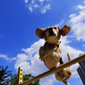 Jump