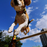 Jumping
