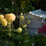 #10 Garden of...