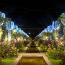 #20 夜のRose Garden