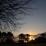 DSC_4093